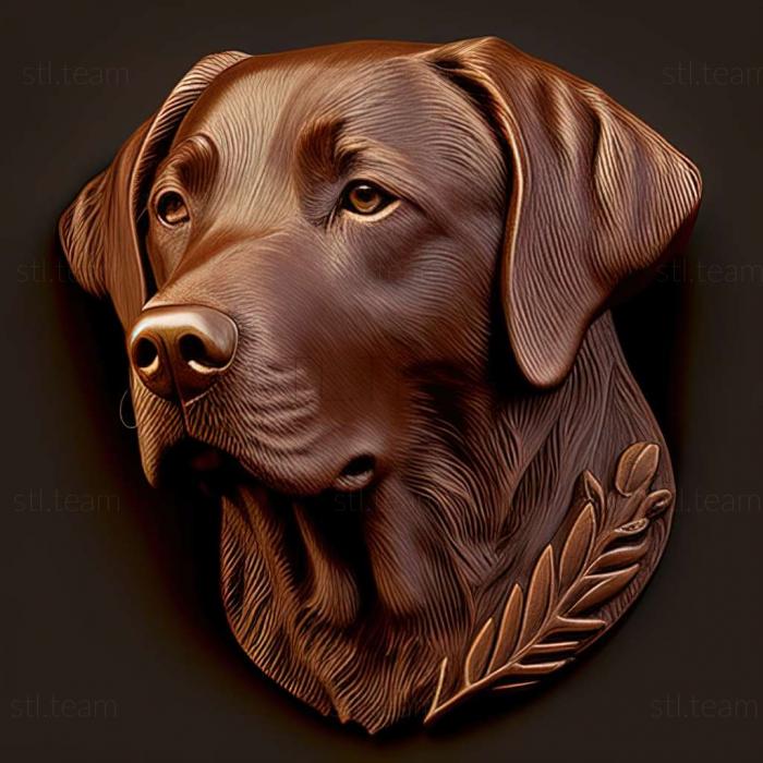 3D model Chesapeake Bay Retriever dog (STL)